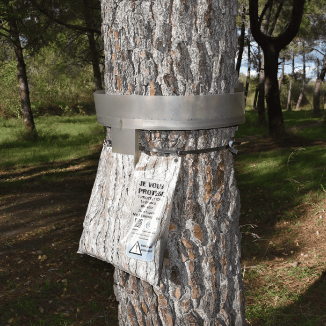 Écopiège - Kit 10 Trampas para procesionaria Premium