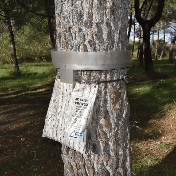 Écopiège - Kit 10 Trampas para procesionaria Premium