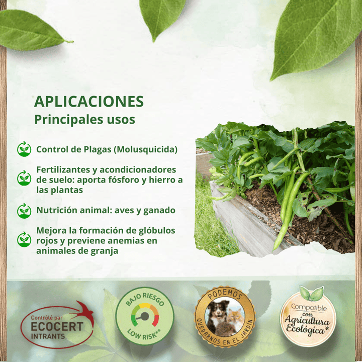 Antilimacos, caracoles y babosas - DOFF