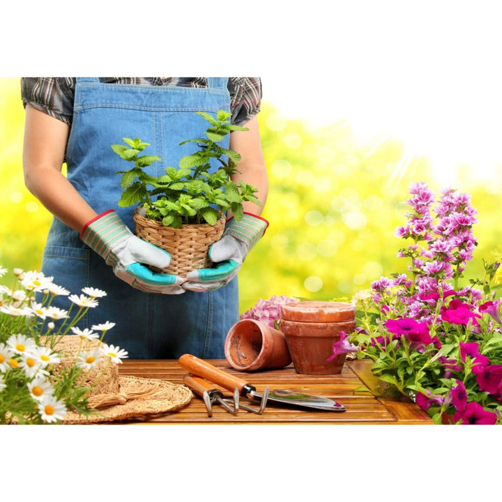 Protect Garden - Insecticida Polivalente AL pulgones y orugas 750 ml