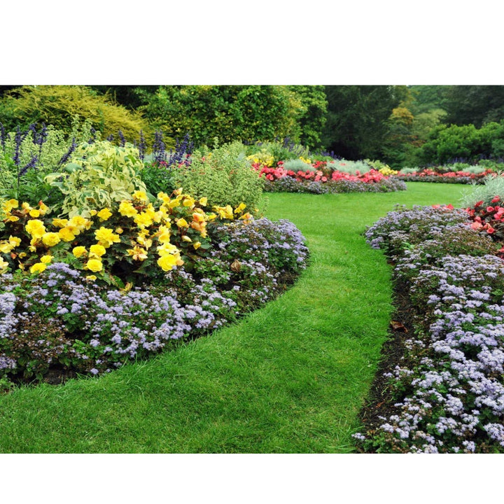 Protect Garden - Insecticida Polivalente AL pulgones y orugas 750 ml