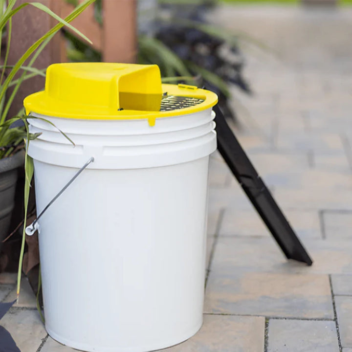 Trampa Cubo Multicaptura para Ratas y Ratones – Reutilizable para Interiores y Exteriores