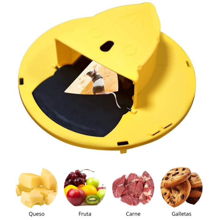 Trampa Cubo Multicaptura para Ratas y Ratones – Reutilizable para Interiores y Exteriores