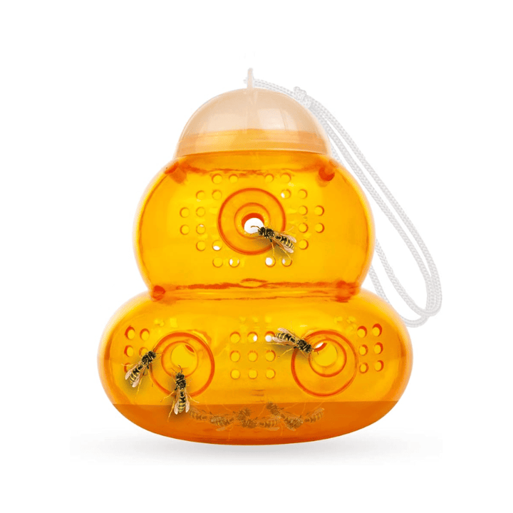 Remi - Trampa Ecologica Insectos Voladores avispas, avispones, moscas