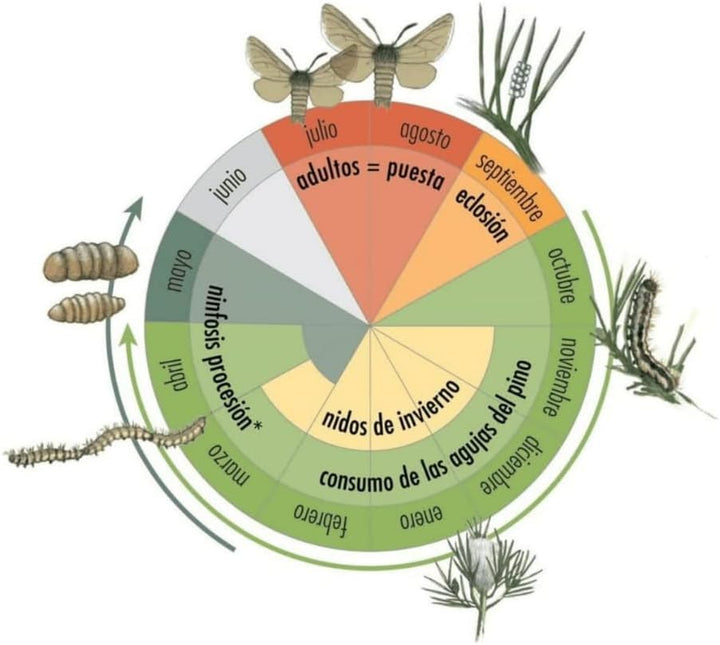 Protecta - Suplemento Collar Procesionaria Procerex