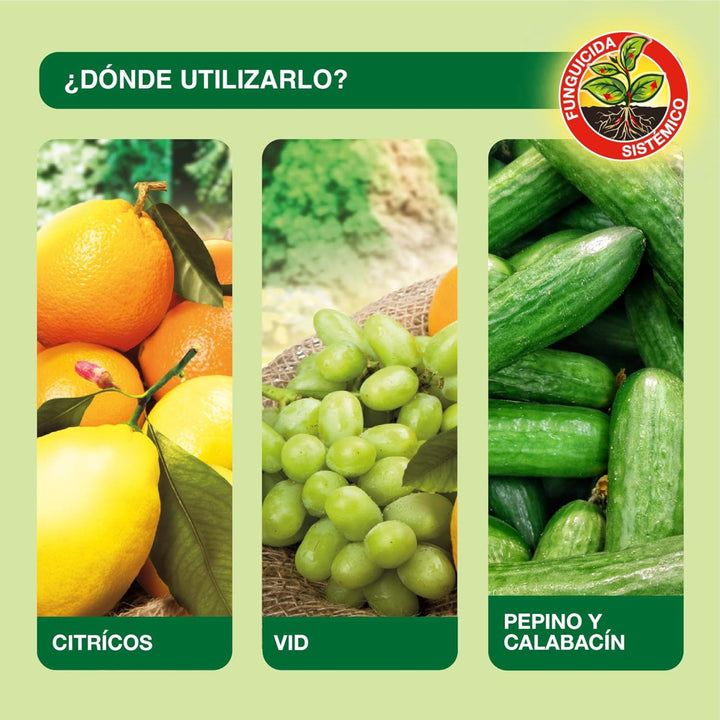 Protect Garden - Fungicida Sistémico WG césped cítricos