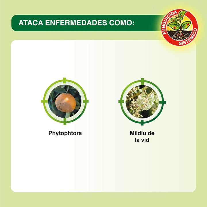 Protect Garden - Fungicida Sistémico WG césped cítricos