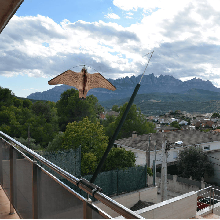 Remi - Espantapájaros para Balcón Eolo