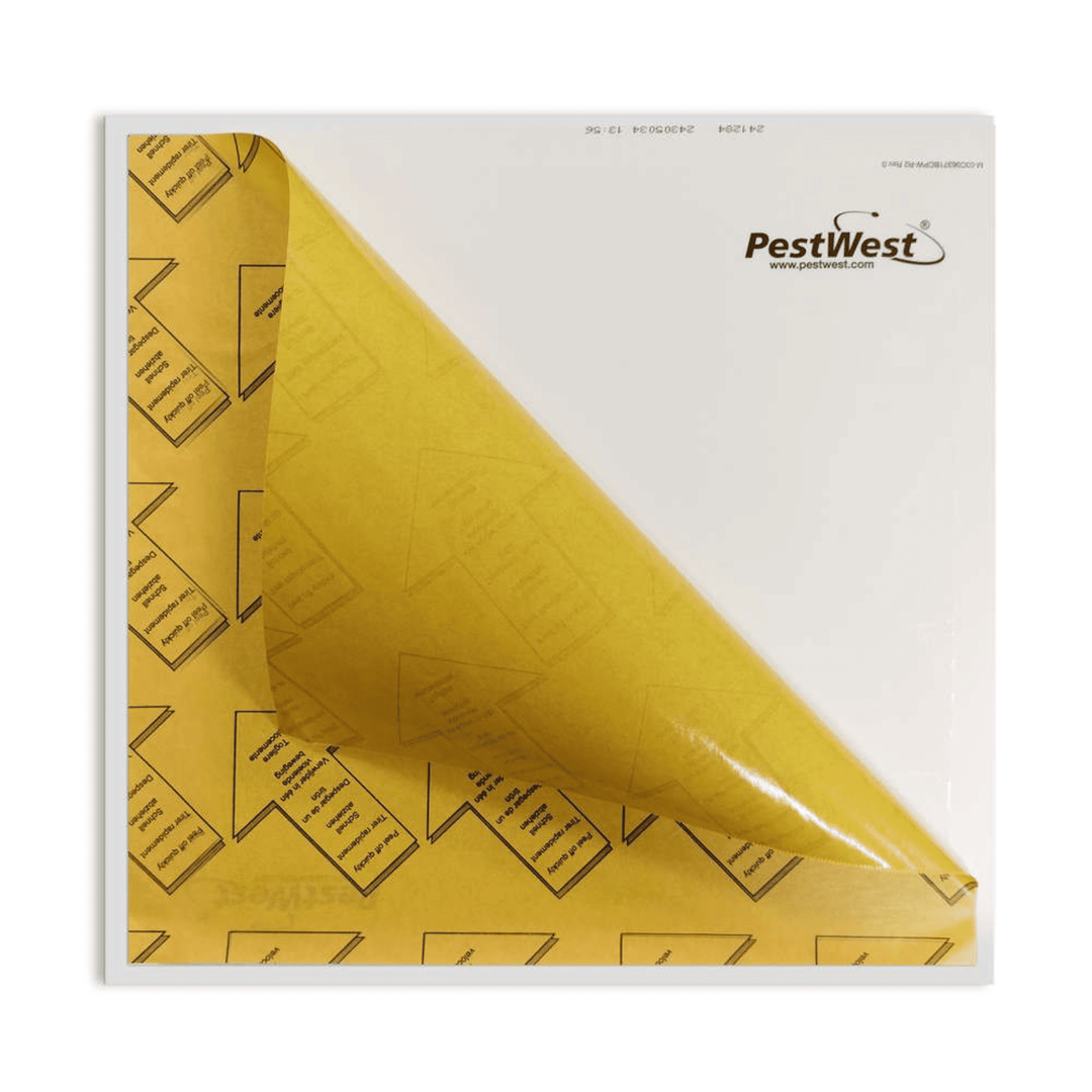 PestWest - Tabla Adhesiva Sunburst