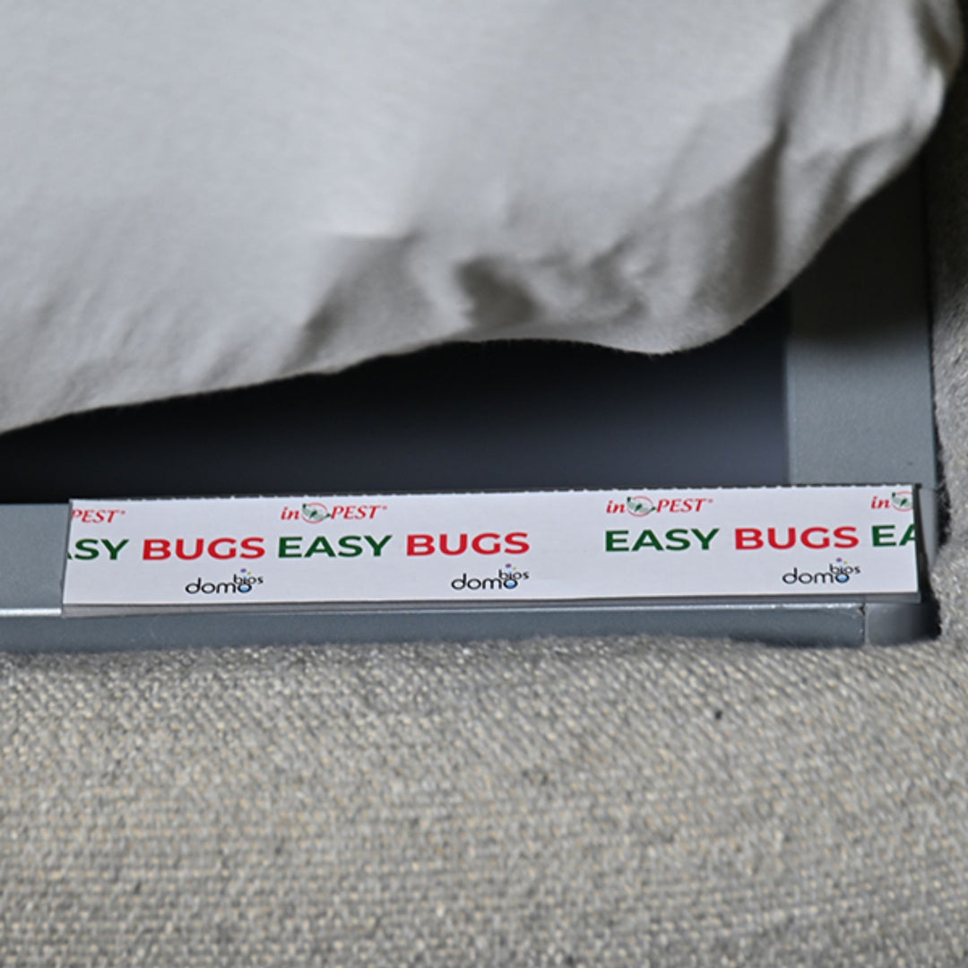 Monitor Easy Bugs - Pack 10 Trampas Adhesivas con Atrayente para Chinches