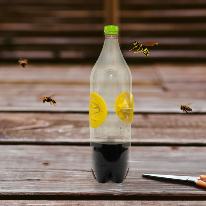 Massó - Trampa de avispas DIY Preben