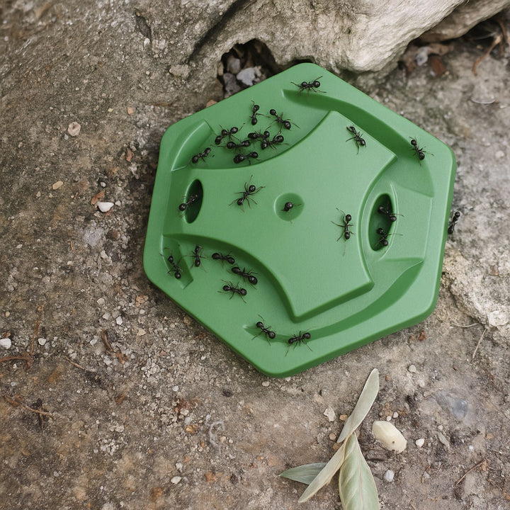 Defens Gel Hormigas – Pack 20 Unidades con Cebo Insecticida