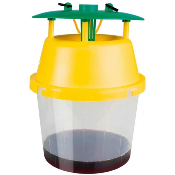 Massó - Trampa para capturar Avispa Asiática Velutina