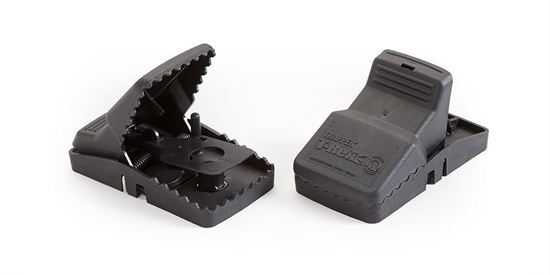 Trapper T-Rex - Cepo Ratas