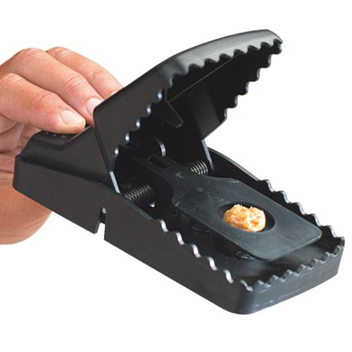 Trapper T-Rex - Cepo Ratas