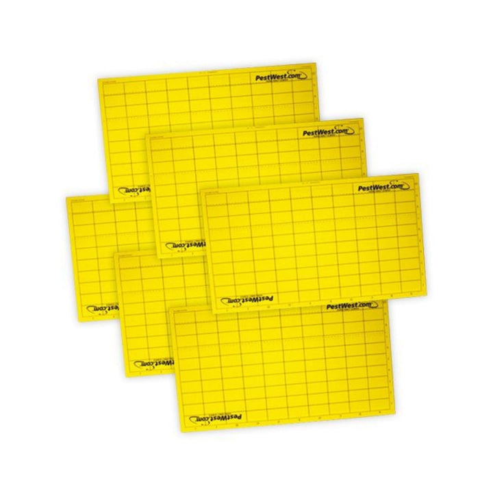 Placa Adhesiva Chameleon PestWest