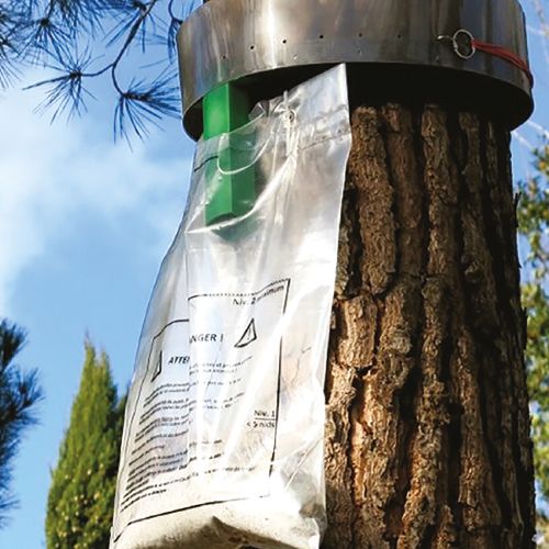 Procerex - Kit Pro 10 Collares Procesionaria - Collar Trampa