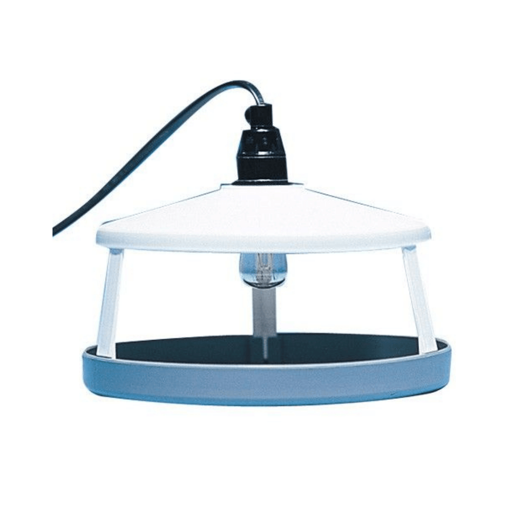 Trampa Pulgas Victor