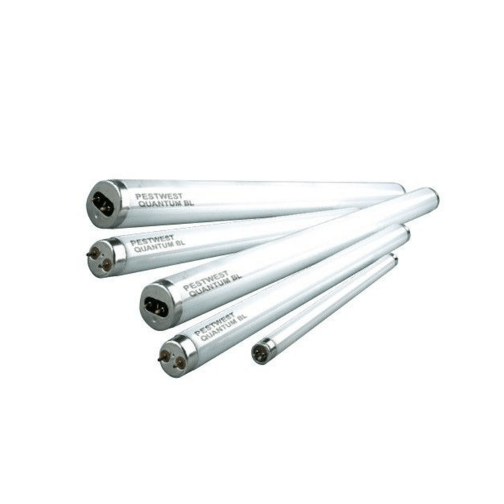 Chameleon 2x2 PestWest