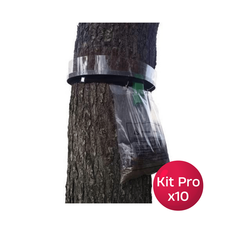 Procerex - Kit Pro 10 Collares Procesionaria - Collar Trampa