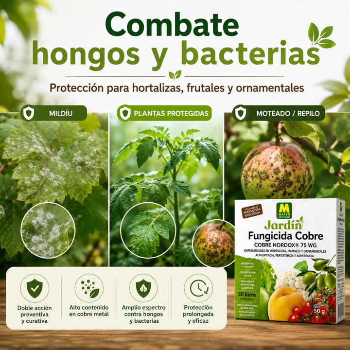 Preben - Fungicida Cobre ECO 50 g Massó para Mildiu, Repilo y Bacterias