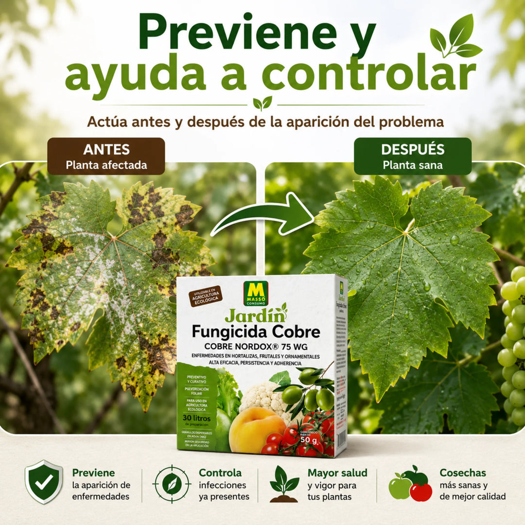 Preben - Fungicida Cobre ECO 50 g Massó para Mildiu, Repilo y Bacterias