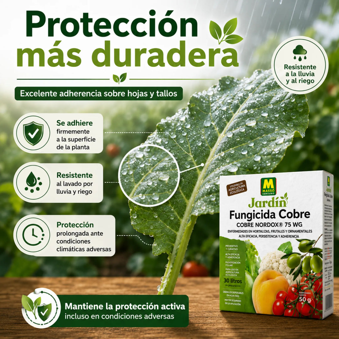 Preben - Fungicida Cobre ECO 50 g Massó para Mildiu, Repilo y Bacterias