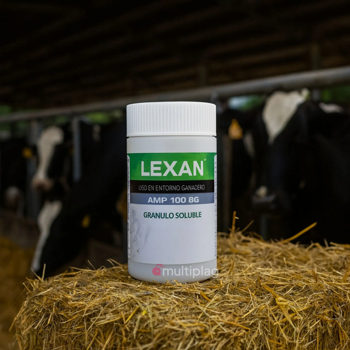 Cebo Mosquicida Lexan AMP 100 SG – Cebo Granulado para Control de Moscas