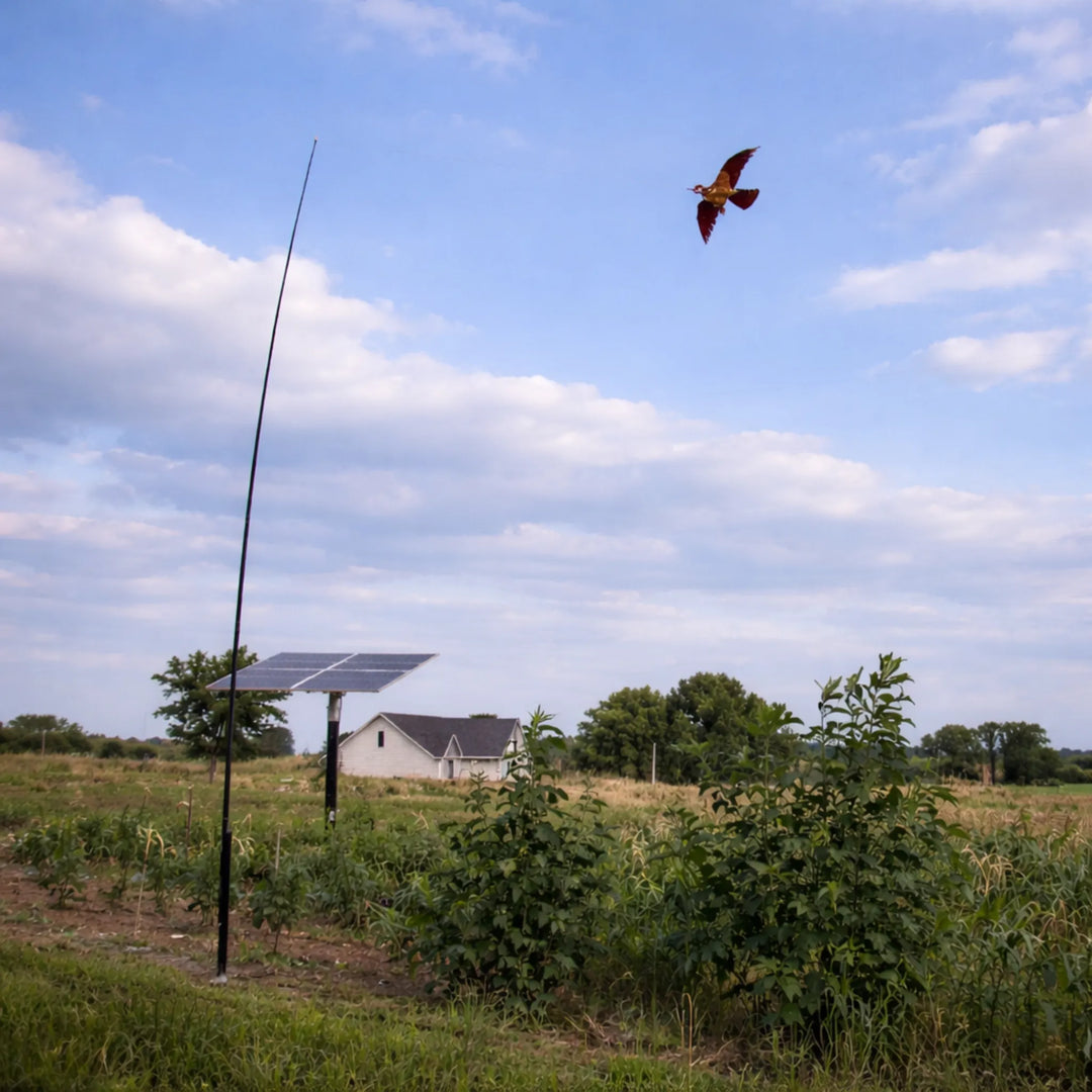 Remi - Halcón Espantapájaros con Mástil 6 metros Ahuyentador Natural de Aves