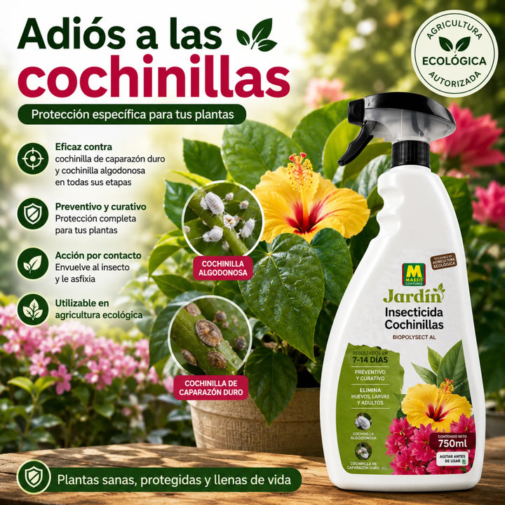 Acción física sobre huevos, larvas y ejemplares adultos para Todo Tipo de Plantas Massó