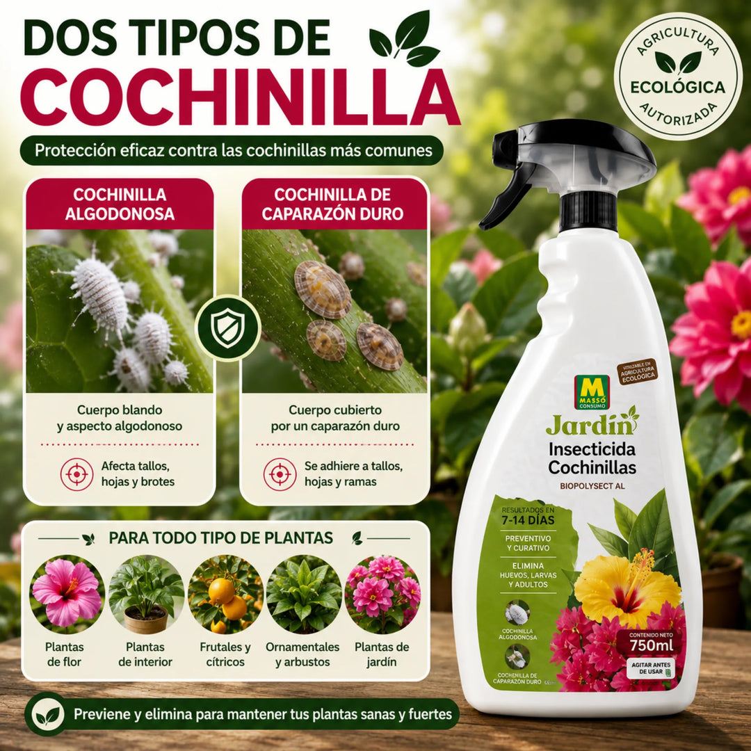 Acción física sobre huevos, larvas y ejemplares adultos para Todo Tipo de Plantas Massó