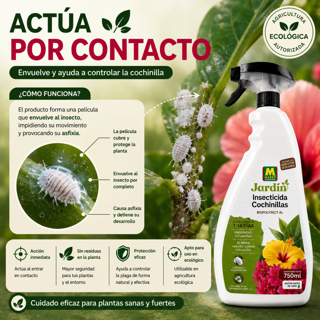 Acción física sobre huevos, larvas y ejemplares adultos para Todo Tipo de Plantas Massó
