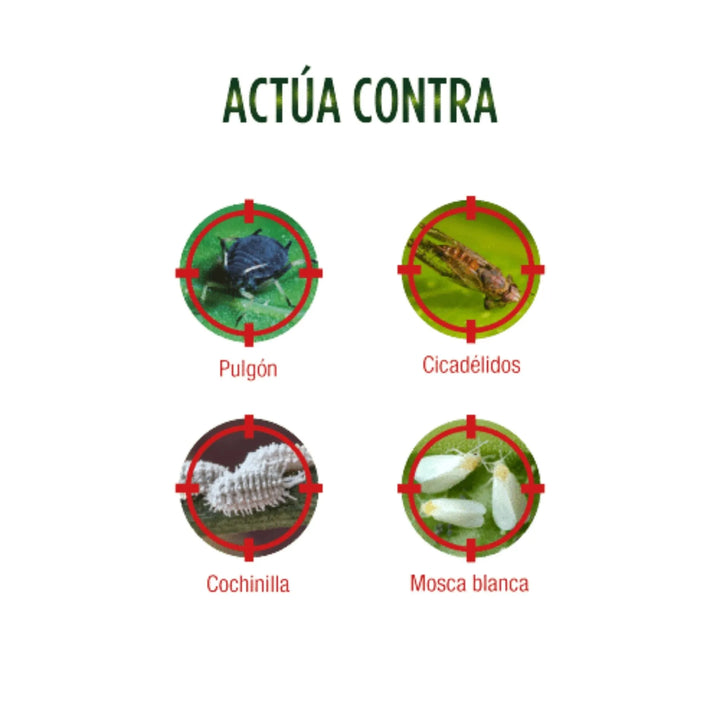 Protect Garden - Sanium Spray Multiacción Insecticida sistémico