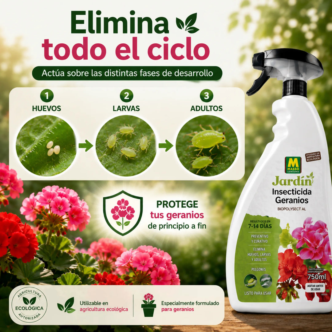 Tratamiento Insecticida y acaricida para Geranios de origen natural para plantas ornamentales Massó