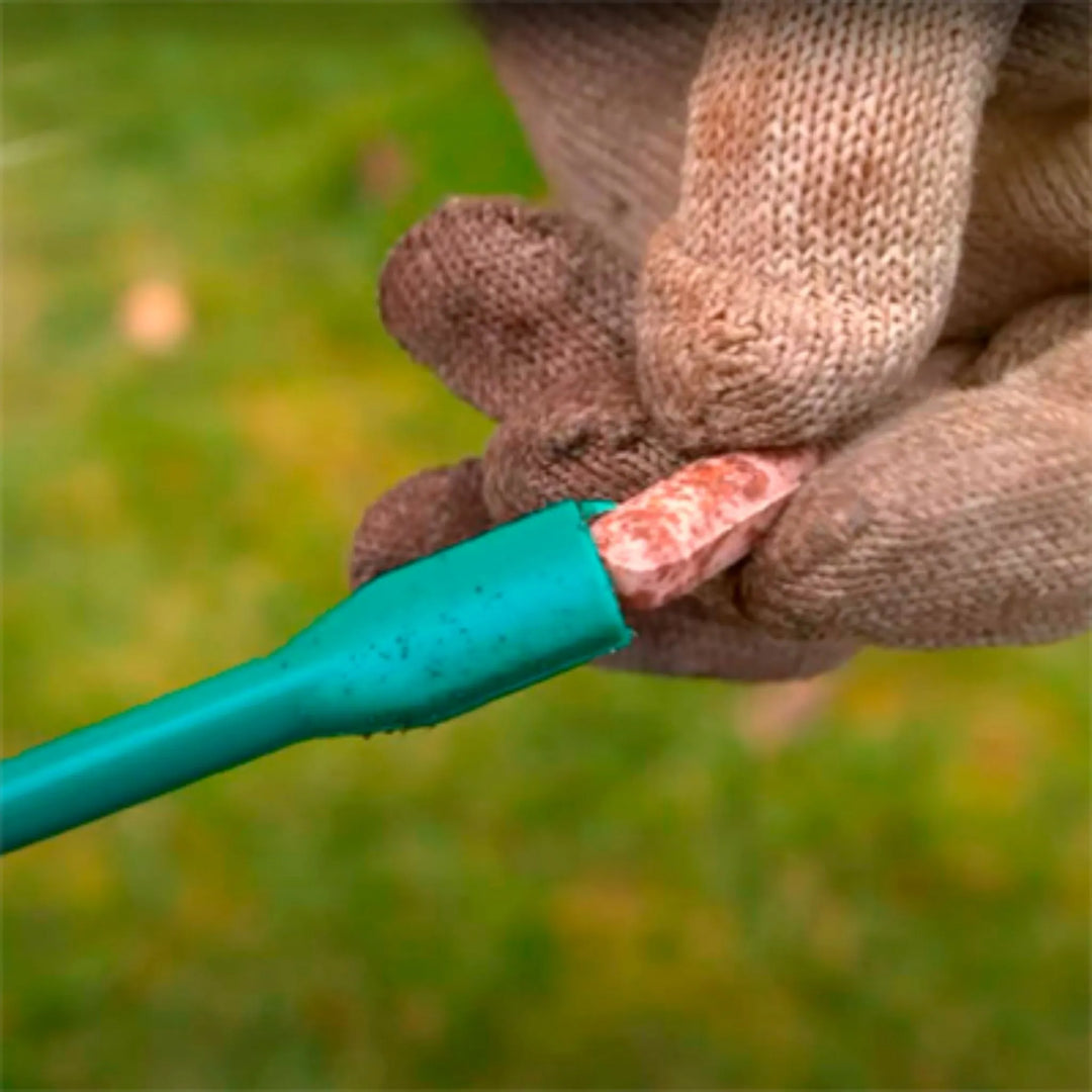 Protect Garden - Sanium Pin Insecticida sistémico con fertilizante para plantas