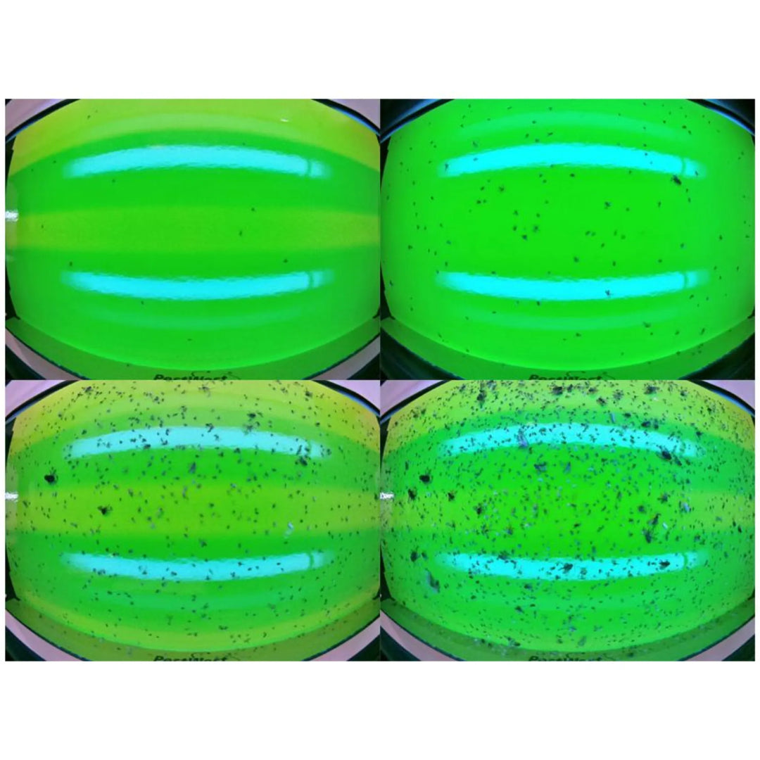 Insectocutor LED flyDetect X con alertas y gestión remota para control profesional