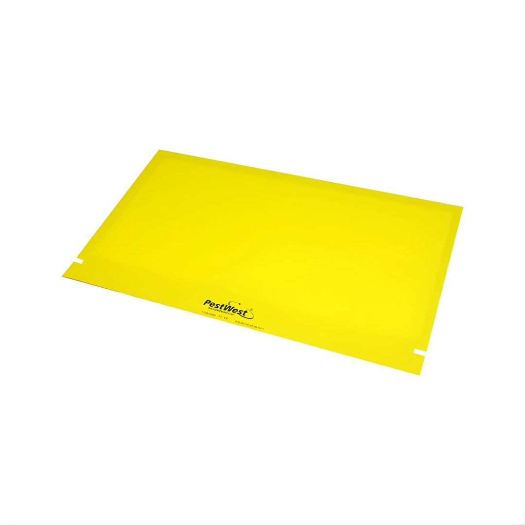 Insectocutor LED flyDetect X con alertas y gestión remota para control profesional