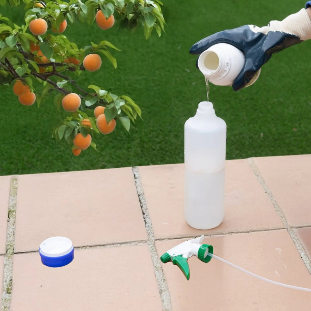 Insecticida de aceite Massó Jed mineral para frutales, cítricos y ornamentales Control Ecológico de Cochinillas, Ácaros y Pulgones