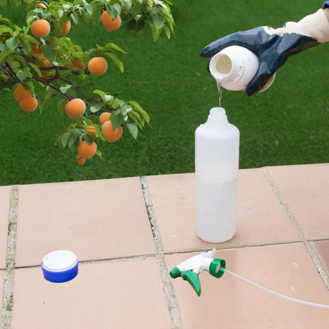 Insecticida de aceite Massó Jed mineral para frutales, cítricos y ornamentales Control Ecológico de Cochinillas, Ácaros y Pulgones