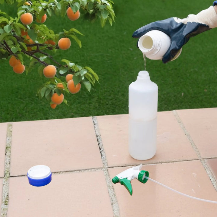 Insecticida de aceite Massó Jed mineral para frutales, cítricos y ornamentales Control Ecológico de Cochinillas, Ácaros y Pulgones