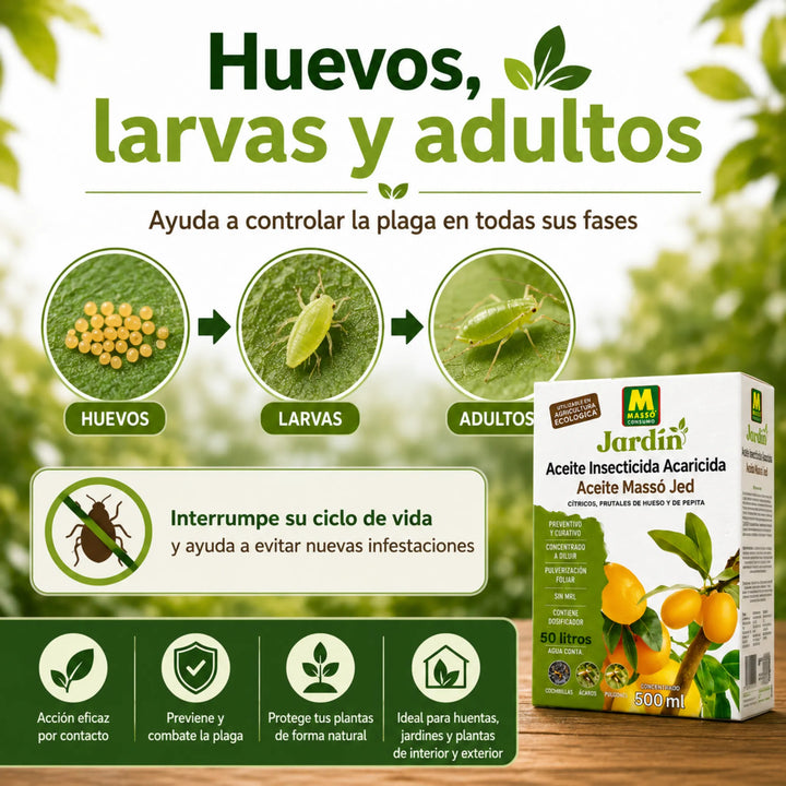 Insecticida de aceite Massó Jed mineral para frutales, cítricos y ornamentales Control Ecológico de Cochinillas, Ácaros y Pulgones