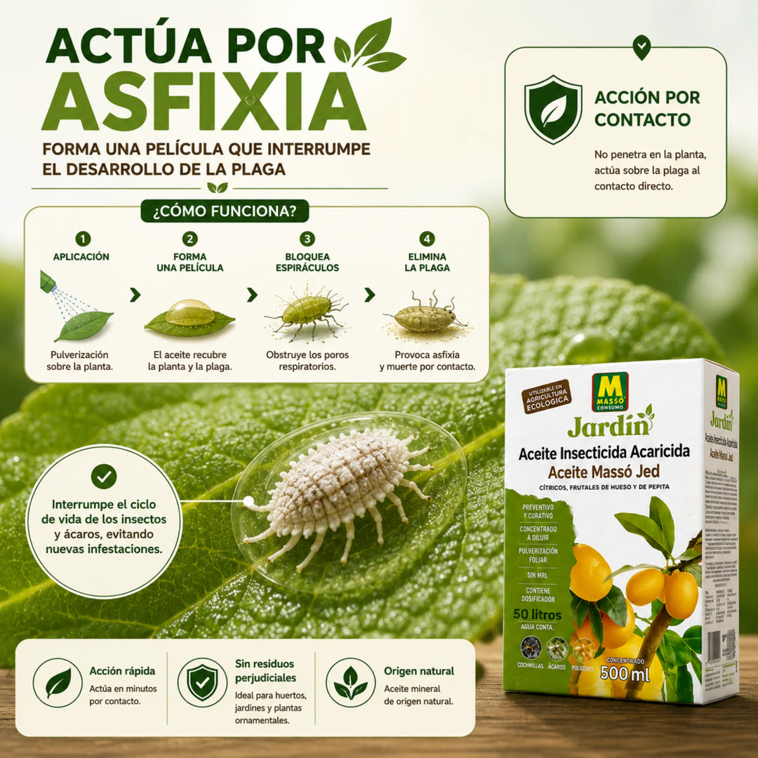 Insecticida de aceite Massó Jed mineral para frutales, cítricos y ornamentales Control Ecológico de Cochinillas, Ácaros y Pulgones