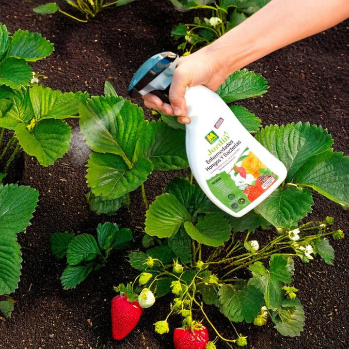 Solución lista para usar contra mildiu, roya y manchas foliares Massó jardín