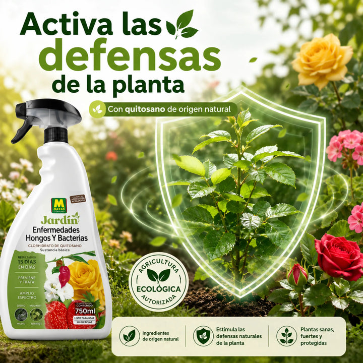 Solución lista para usar contra mildiu, roya y manchas foliares Massó jardín