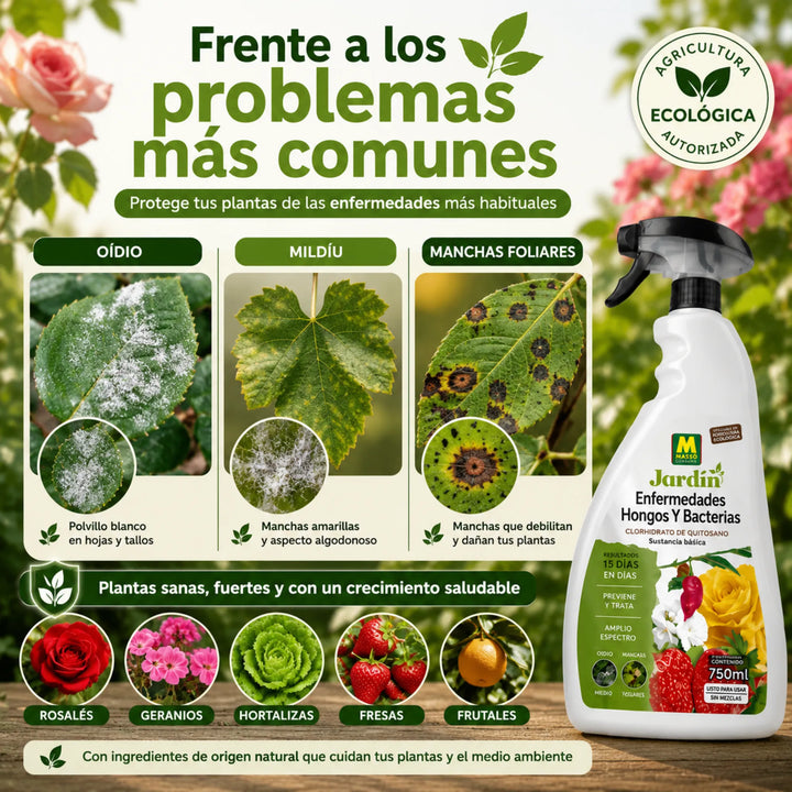 Solución lista para usar contra mildiu, roya y manchas foliares Massó jardín