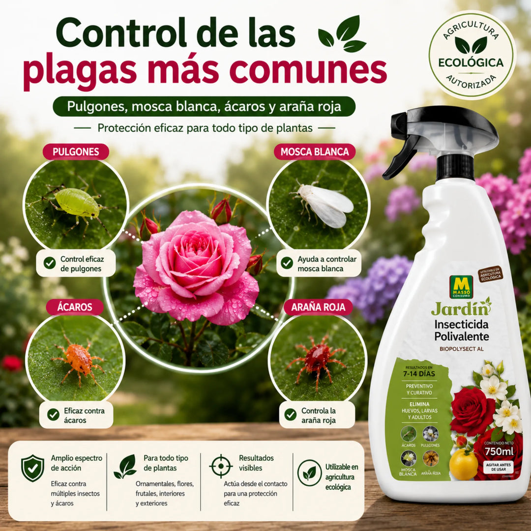 Acción insecticida y acaricida por contacto sobre todas las fases de desarrollo Massó