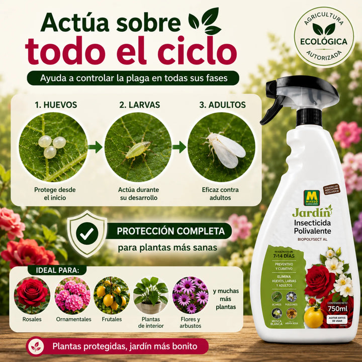 Acción insecticida y acaricida por contacto sobre todas las fases de desarrollo Massó