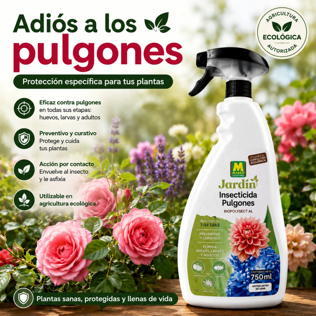 Tratamiento específico para eliminar colonias de pulgones con acción física sobre huevos, larvas y adultos Massó