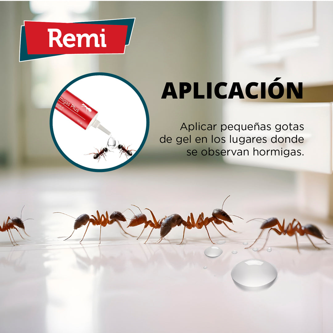 Remi - Gel Hormigas Plus | Insecticida para hormigas | Cebo