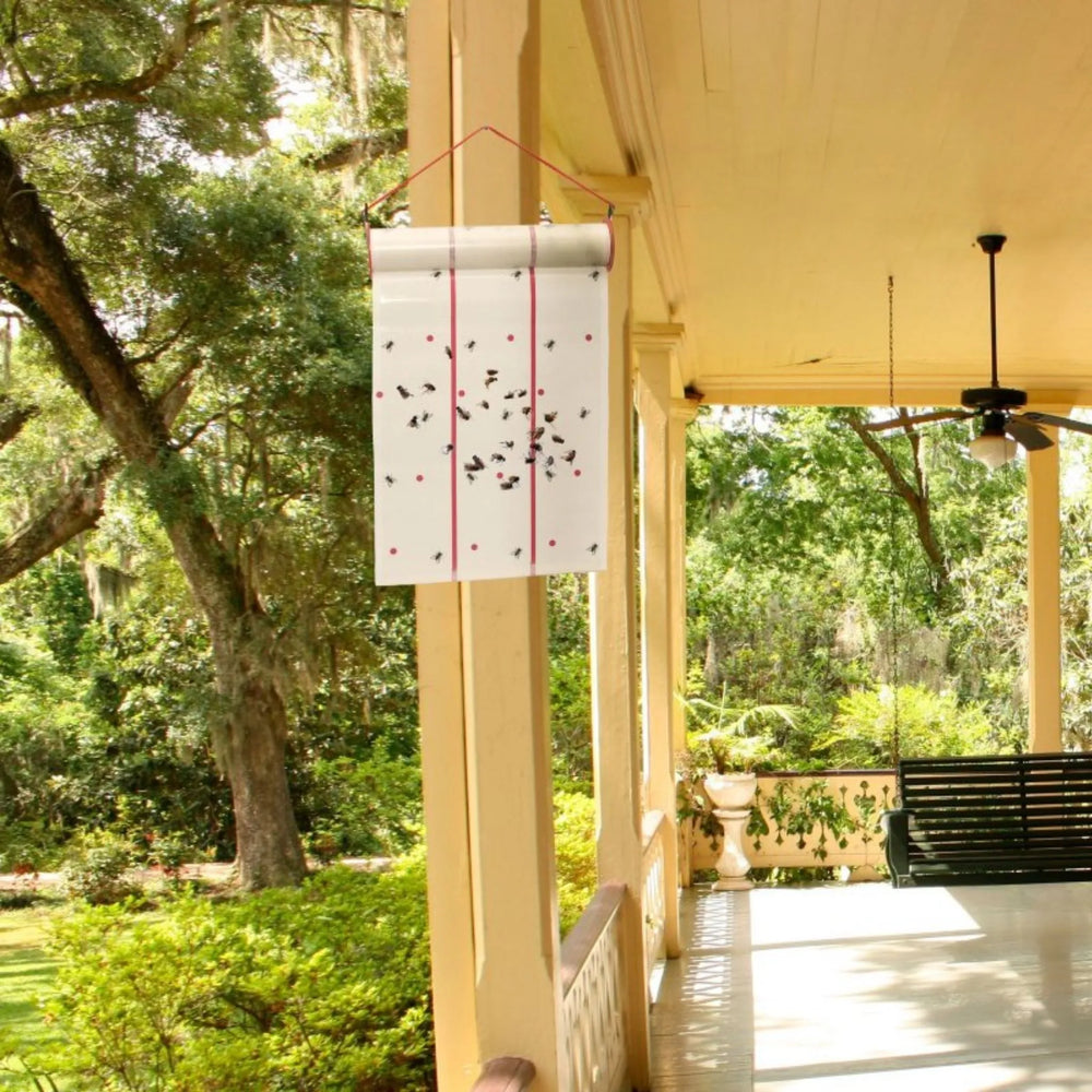 Massó - Rollo Atrapa-Moscas Preben 7,5 m Sin Insecticidas para Interiores